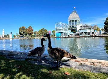 canada/montreal/old-montreal/landmark/vieux-port-de-montreal