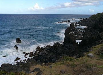 saint-kitts-and-nevis/pinney-s-beach/landmark/central-forest-reserve-national-park