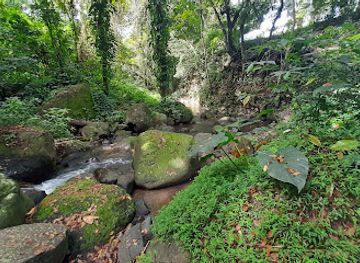 saint-vincent-and-the-grenadines/dark-view-falls/landmark/layou-petroglyph-park