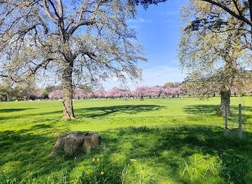 united-kingdom/edinburgh/landmark/meadows-compass