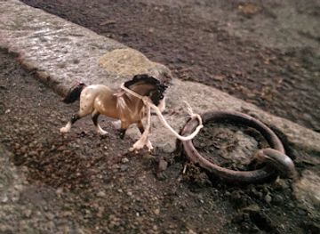 washington/spokane/south-perry-district/landmark/horse-ring