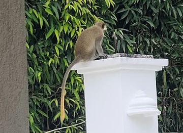 barbados/cherry-tree-hill/landmark/cherry-tree-villa