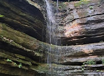 tennessee/highland-rim/landmark/wells-hill-park