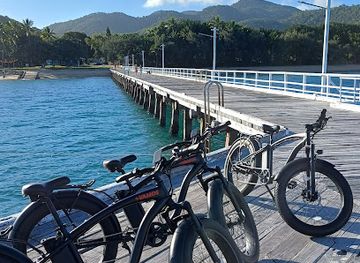 australia/magnetic-island/landmark/magnetic-island-roaming