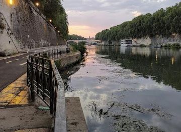 vatican-city/vatican-necropolis/landmark/lungotevere-degli-anguillara