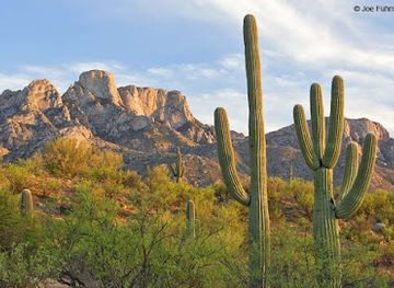 arizona/santa-catalina-mountains/landmark/catalina-state-park