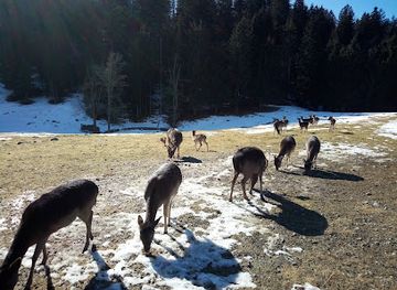 croatia/gorski-kotar/landmark/gorski-kotar-pansion
