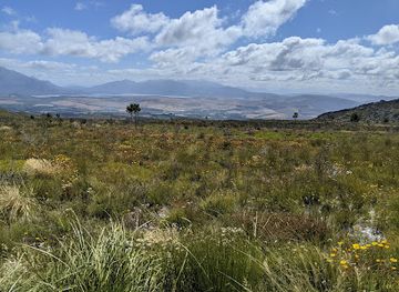 south-africa/overberg/landmark/green-mountain-trail