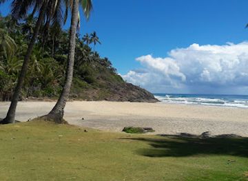 brazil/itacare/landmark/conduru-arvorismo