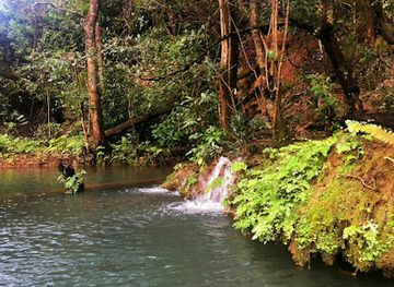 zambia/lusaka/landmark/monkey-pools