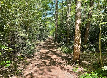 netherlands/gooi/landmark/goois-natuurreservaat