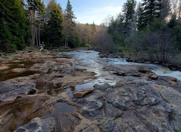 west-virginia/dolly-sods-wilderness/landmark/blackbird-knob-trailhead