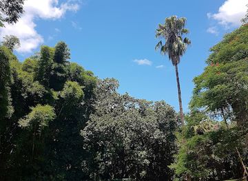 eswatini/mbabane/landmark/cuddle-puddle