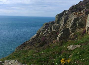 united-kingdom/gwynedd/landmark/eithinog-north-wales-wildlife-trust-nature-reserve
