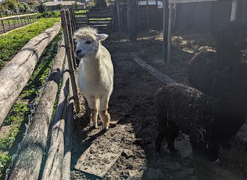 chile/maipo-valley/landmark/campo-la-quirinca