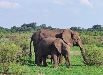 botswana/southern-district/landmark/northern-tuli-game-reserve