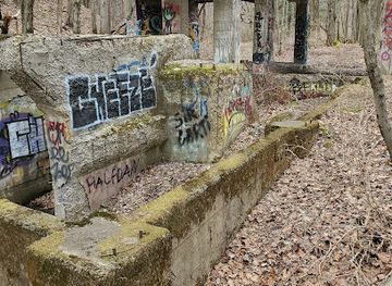 pennsylvania/southern-alleghenies/landmark/scotia-barrens