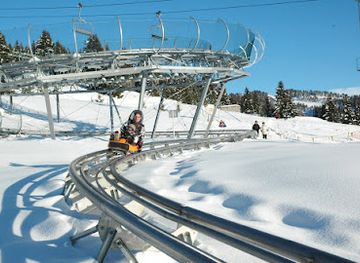 wyoming/snow-king-mountain-resort/landmark/cowboy-coaster-at-snow-king-mountain