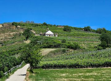 hungary/tokaj-wine-region/landmark/szerelmi-pince