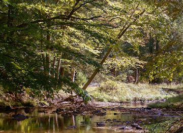 pennsylvania/allegheny-national-forest/landmark/cook-forest-state-park-office
