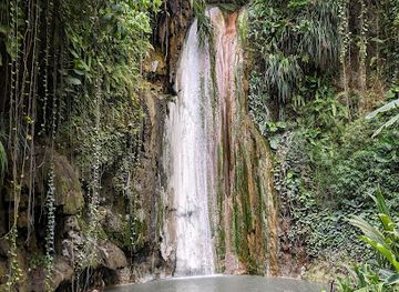 saint-lucia/diamond-falls-botanical-gardens/landmark/diamond-falls-botanical-gardens-mineral-baths