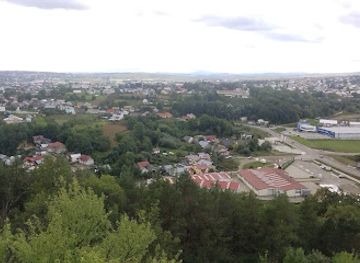 romania/suceava/landmark/padurea-zamca