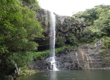 mauritius/black-river-gorges-national-park/landmark/tamarind-falls-hiking-trail-start