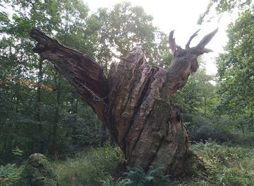 denmark/north-zealand/landmark/nordskoven