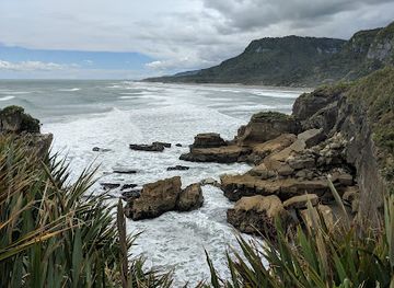new-zealand/punakaiki/landmark/pancake-rocks-cafe