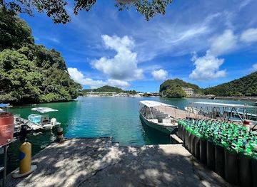 palau/koror-town/landmark/fish-n-fins-palau