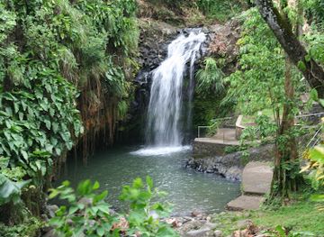 grenada/etang-national-park/landmark/annandale-waterfall-forest-park