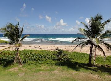 barbados/crane-beach/landmark/hunte-s-gardens