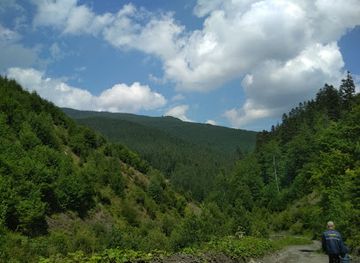 ukraine/svydovets-mountains/landmark/svydovets-stream