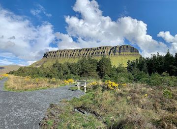 ireland/sligo/landmark/benbulben-forest-walk