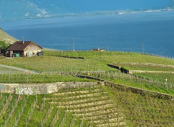 switzerland/verbier/landmark/brunswick-monument