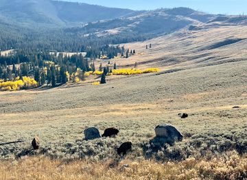 montana/yellowstone-national-park/landmark/inspiration-point