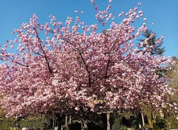 germany/potsdam/landmark/bornholmer-str