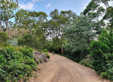 uruguay/sierra-de-los-caracoles/landmark/arboretum-lussich
