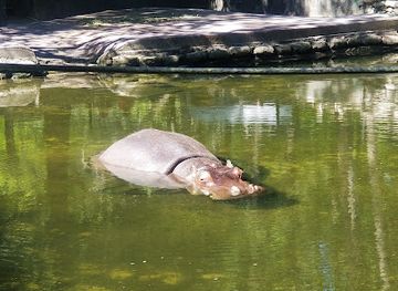 florida/homosassa-springs-wildlife-state-park/landmark/homosassa-springs