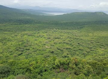 ethiopia/arbaminch/landmark/nech-sar-national-park