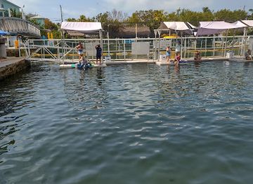 florida/key-largo/landmark/dolphins-plus-marine-mammal-responder
