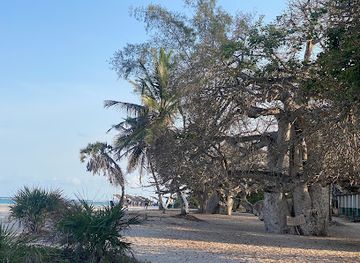 kenya/diani-beach/landmark/estuary-beach-restaurant-bar
