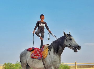 oman/sur/landmark/arabian-horse-breeding-stable