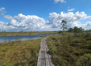 estonia/soomaa-national-park/landmark/ingatsi-opperada
