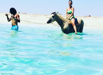 tunisia/djerba-island/landmark/ranch-adada-djerba