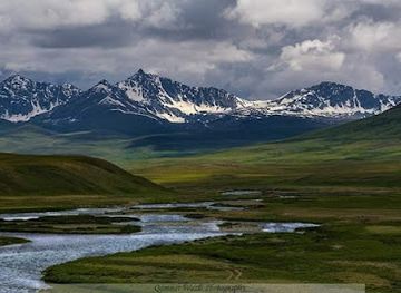 pakistan/northern-areas/landmark/deosai-national-park