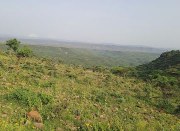 ethiopia/shewa/landmark/awash-park