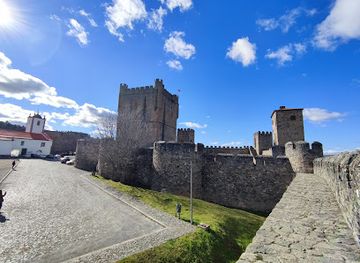 portugal/tras-os-montes/landmark/domus-municipalis