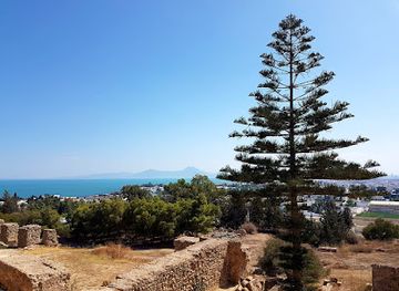 tunisia/the-dahar-mountains/landmark/national-museum-of-bardo