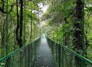 costa-rica/monteverde-cloud-forest/landmark/selvatura-adventure-park